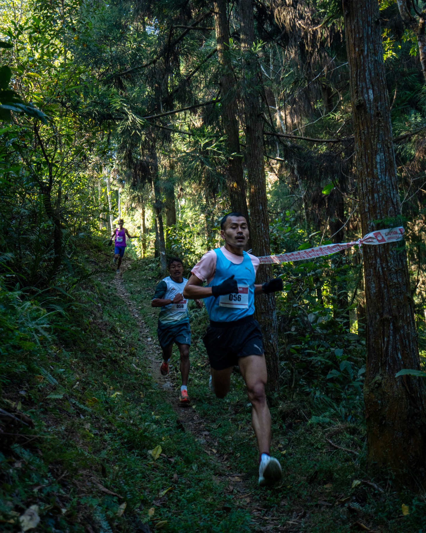 Trail runners in the forest