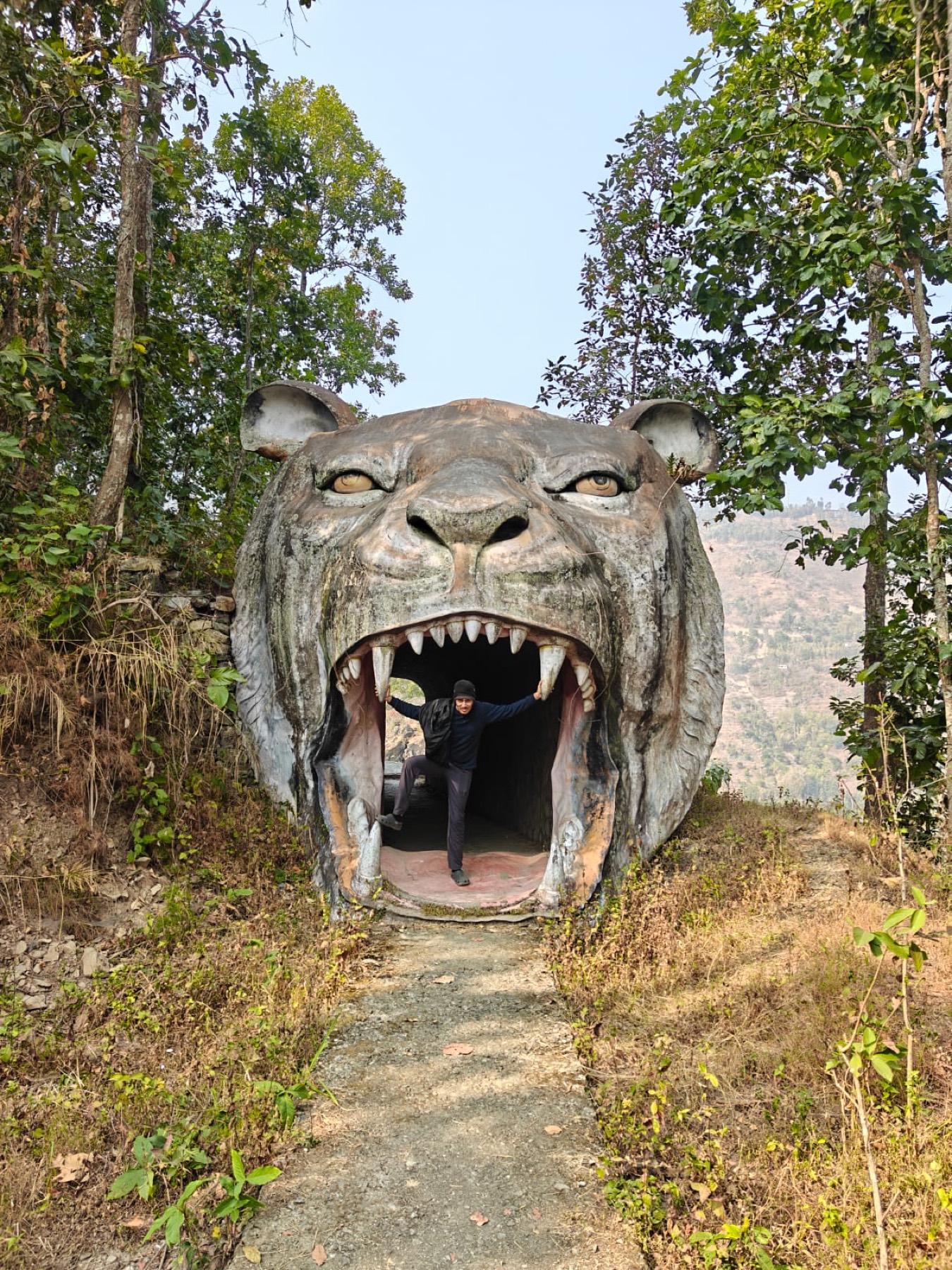 The tiger gate at Zoom Rock Garden