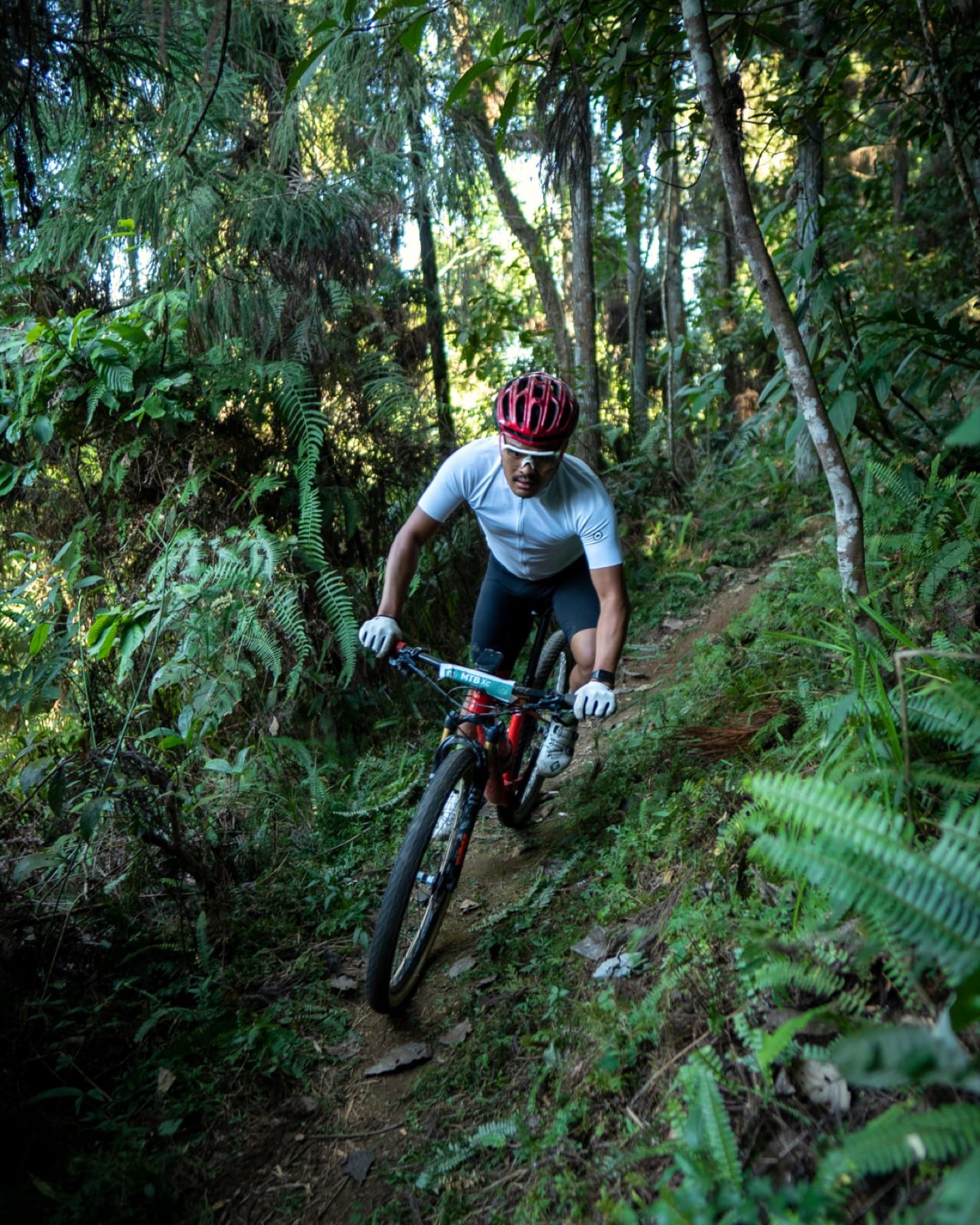 Descending through the jungle
