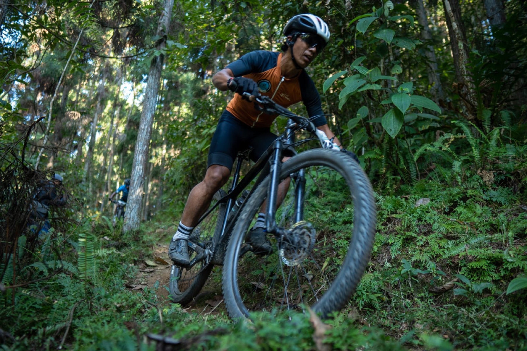 Rider on a forest trail